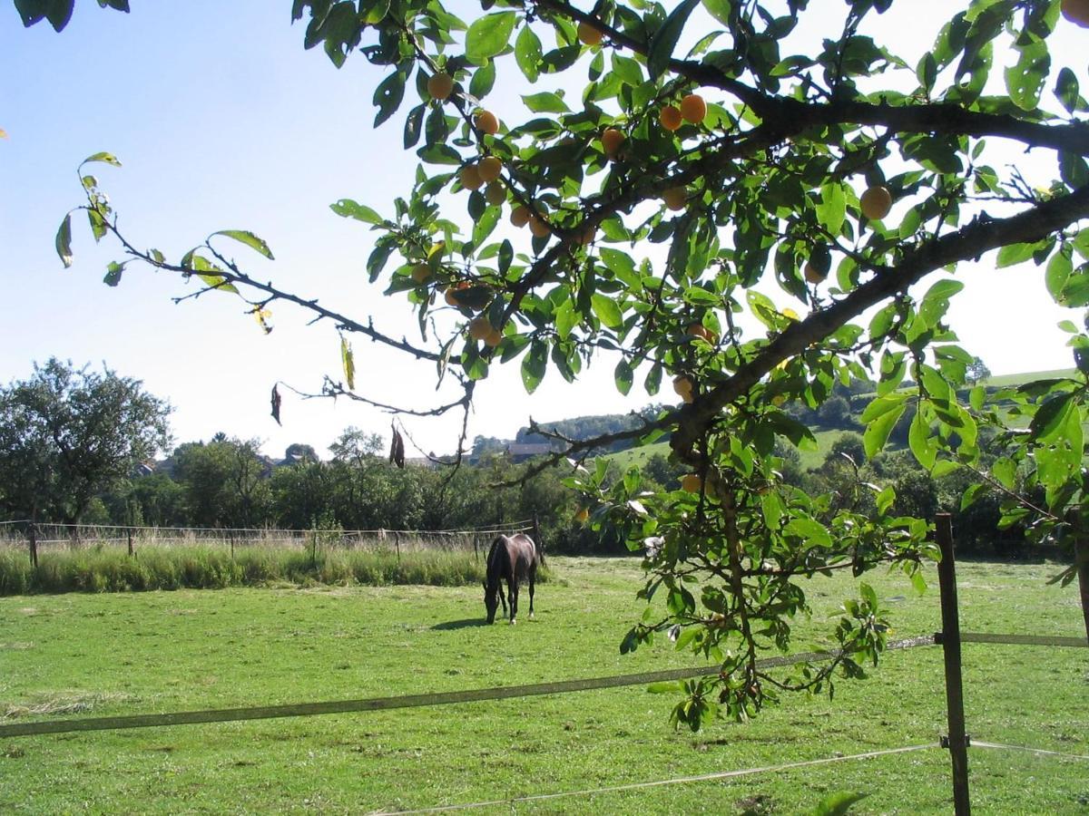Bed and Breakfast 4 Collines Hagnicourt Экстерьер фото